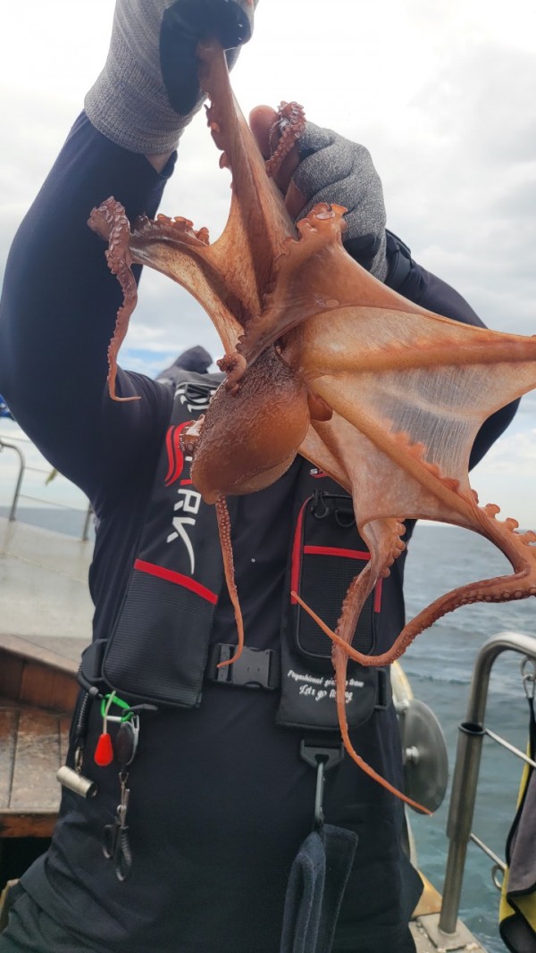 eb7509985e6b9e0b61d9f135be9691eb_1767510