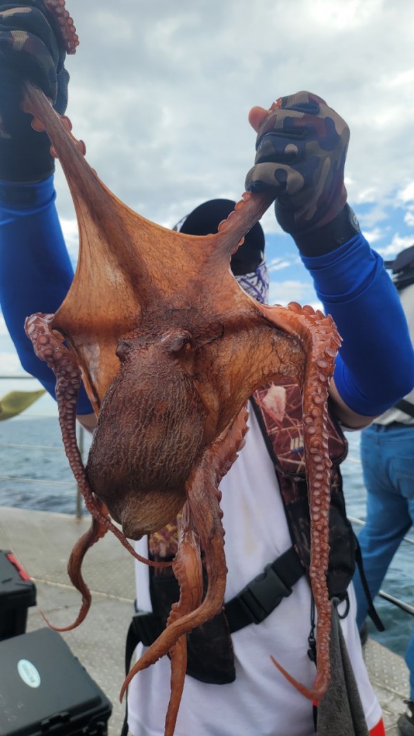 eb7509985e6b9e0b61d9f135be9691eb_1767510