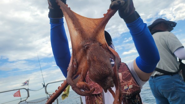 eb7509985e6b9e0b61d9f135be9691eb_1767510