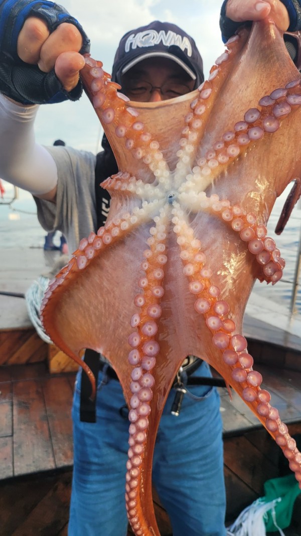 eb7509985e6b9e0b61d9f135be9691eb_1767510