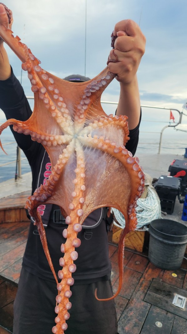 eb7509985e6b9e0b61d9f135be9691eb_1767510