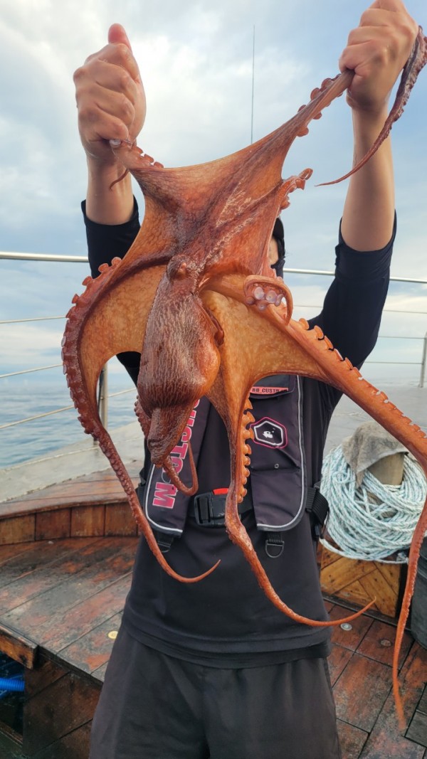 eb7509985e6b9e0b61d9f135be9691eb_1767510