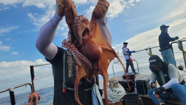 eb7509985e6b9e0b61d9f135be9691eb_1767510