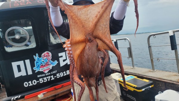 eb7509985e6b9e0b61d9f135be9691eb_1767510