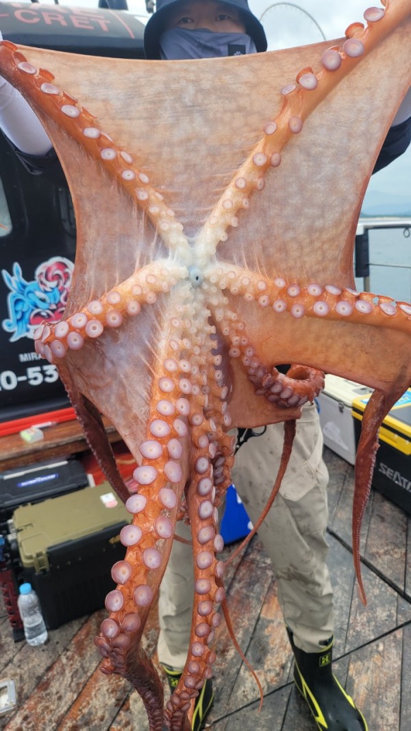 eb7509985e6b9e0b61d9f135be9691eb_1767510