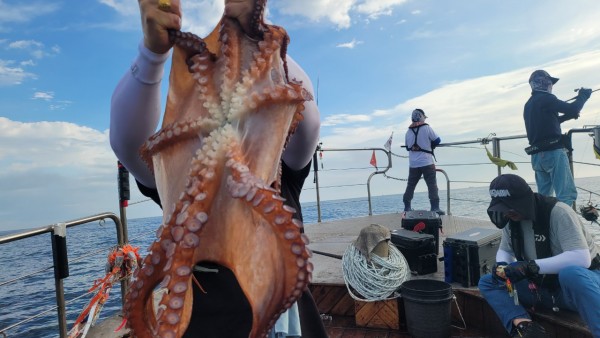 eb7509985e6b9e0b61d9f135be9691eb_1767510