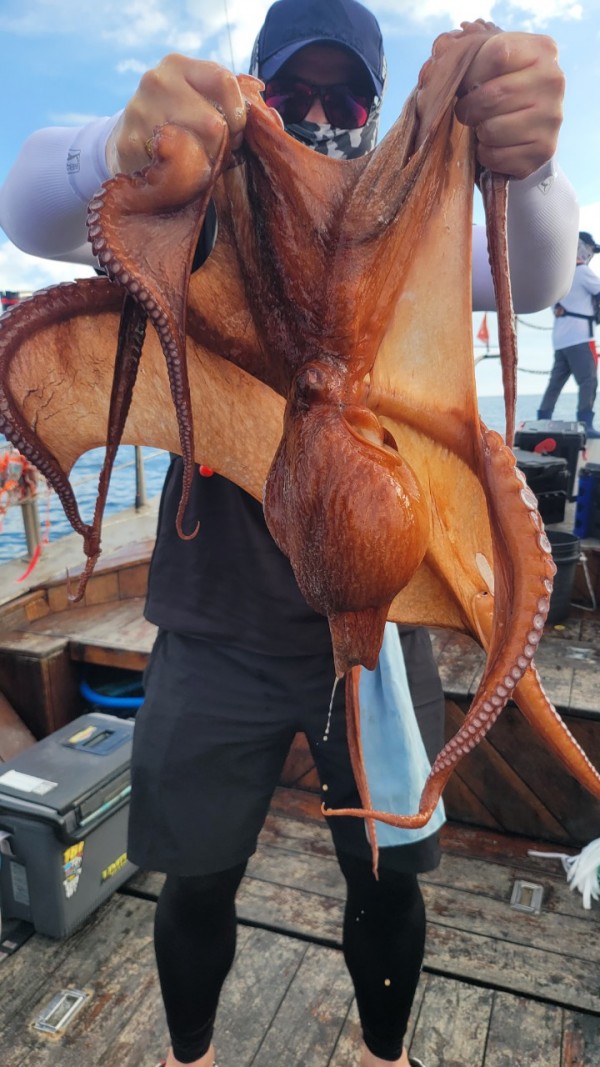 eb7509985e6b9e0b61d9f135be9691eb_1767510