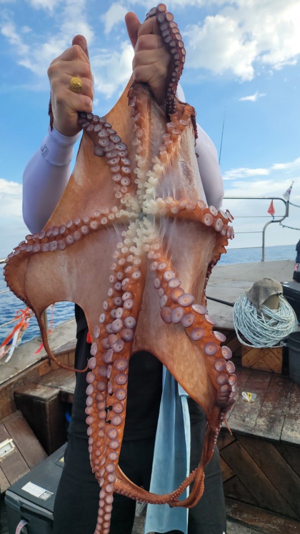 eb7509985e6b9e0b61d9f135be9691eb_1767510