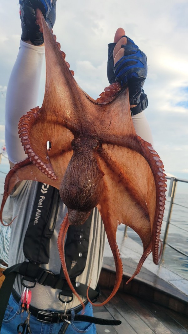 eb7509985e6b9e0b61d9f135be9691eb_1767510