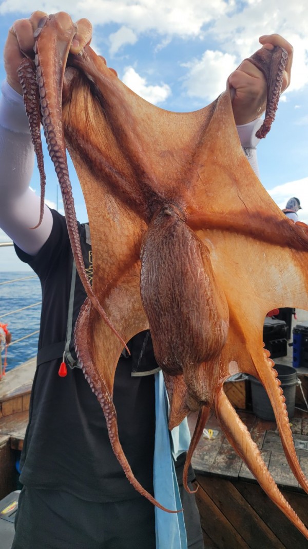 eb7509985e6b9e0b61d9f135be9691eb_1767510