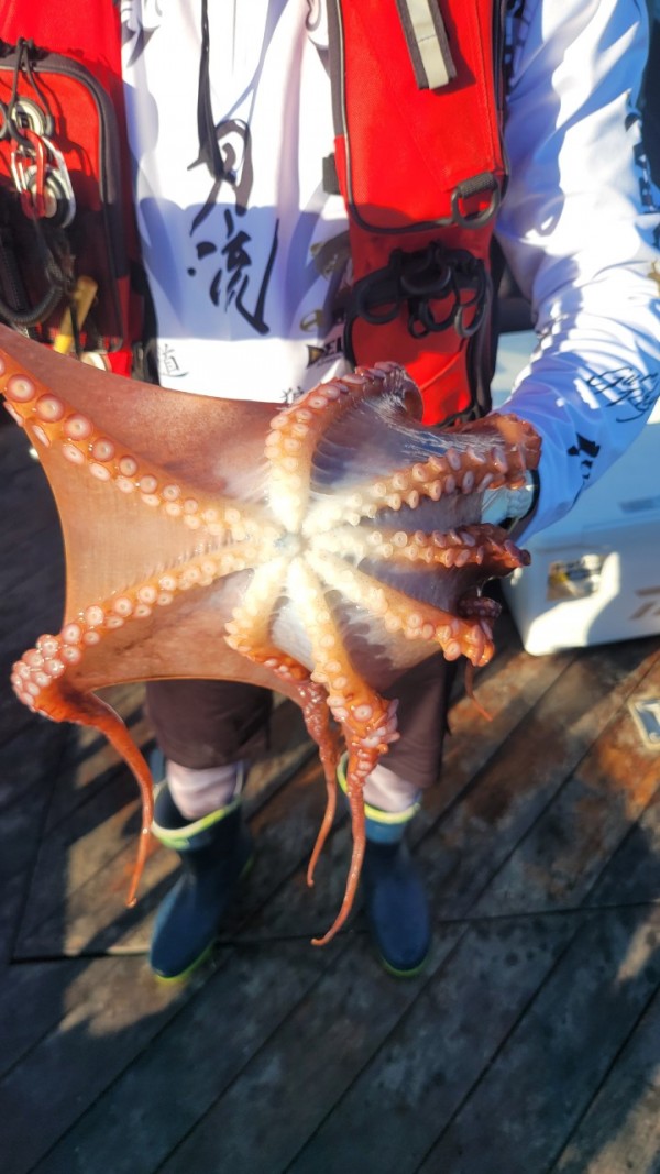 f82603d4bdc5c06674c6d23b536af3f3_1767513