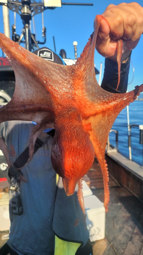 f82603d4bdc5c06674c6d23b536af3f3_1767513