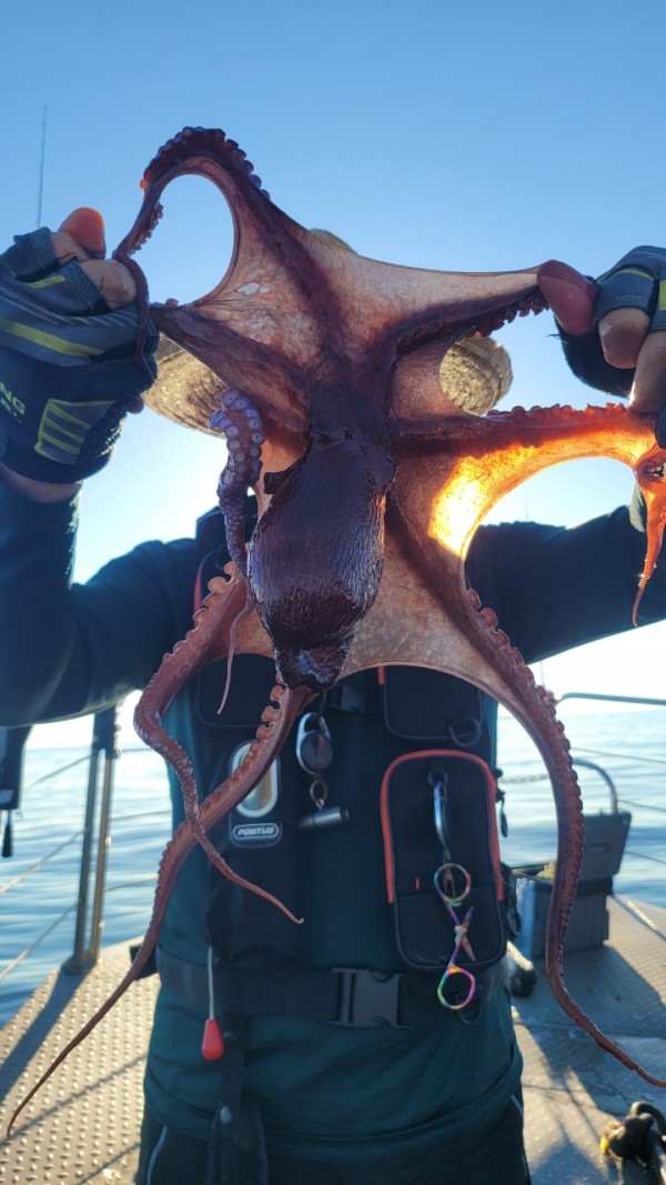 f82603d4bdc5c06674c6d23b536af3f3_1767513