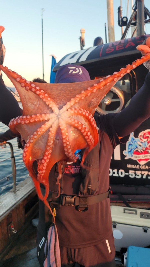 f82603d4bdc5c06674c6d23b536af3f3_1767513