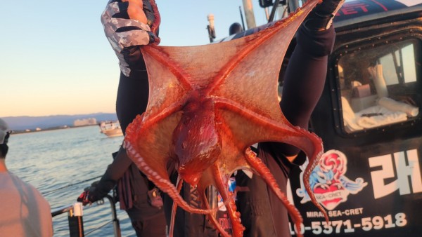 f82603d4bdc5c06674c6d23b536af3f3_1767513