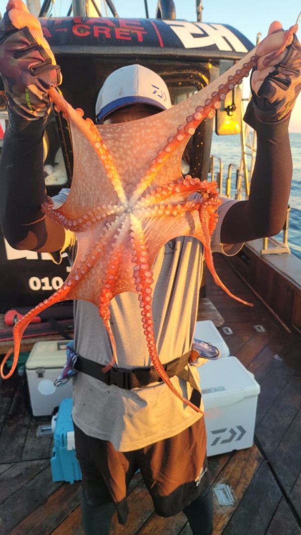 f82603d4bdc5c06674c6d23b536af3f3_1767513