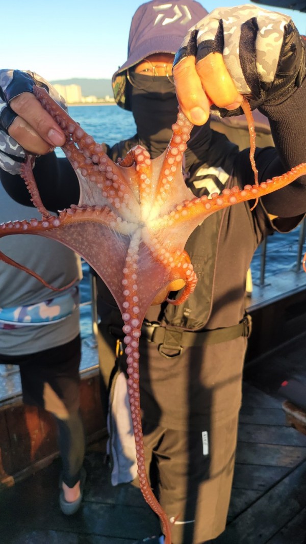 f82603d4bdc5c06674c6d23b536af3f3_1767513