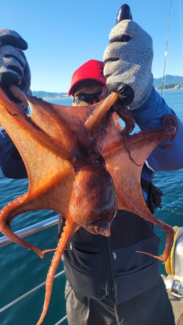 f82603d4bdc5c06674c6d23b536af3f3_1767513