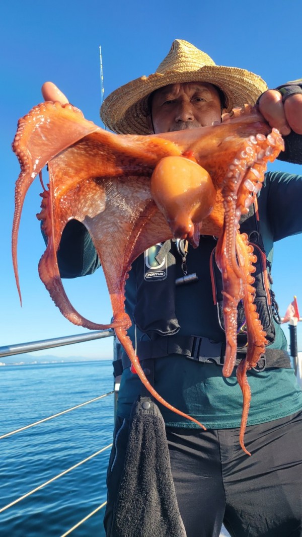 f82603d4bdc5c06674c6d23b536af3f3_1767513