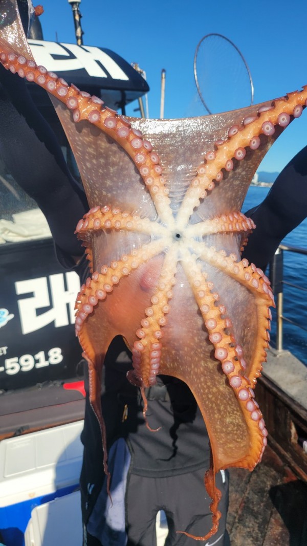 f82603d4bdc5c06674c6d23b536af3f3_1767513