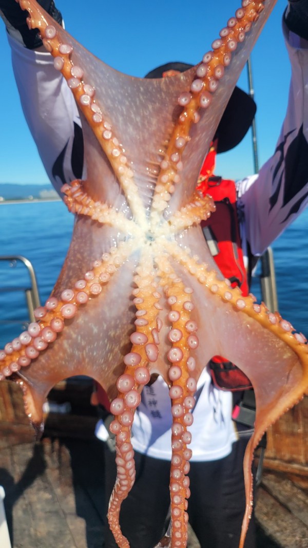 f82603d4bdc5c06674c6d23b536af3f3_1767513