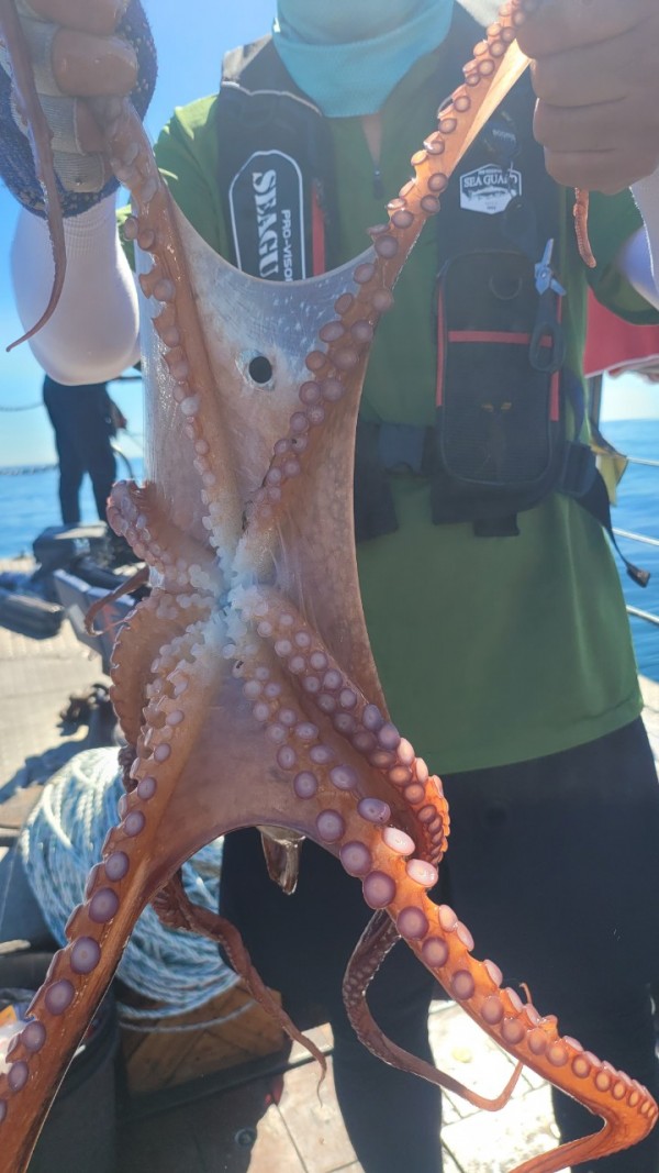 f82603d4bdc5c06674c6d23b536af3f3_1767513