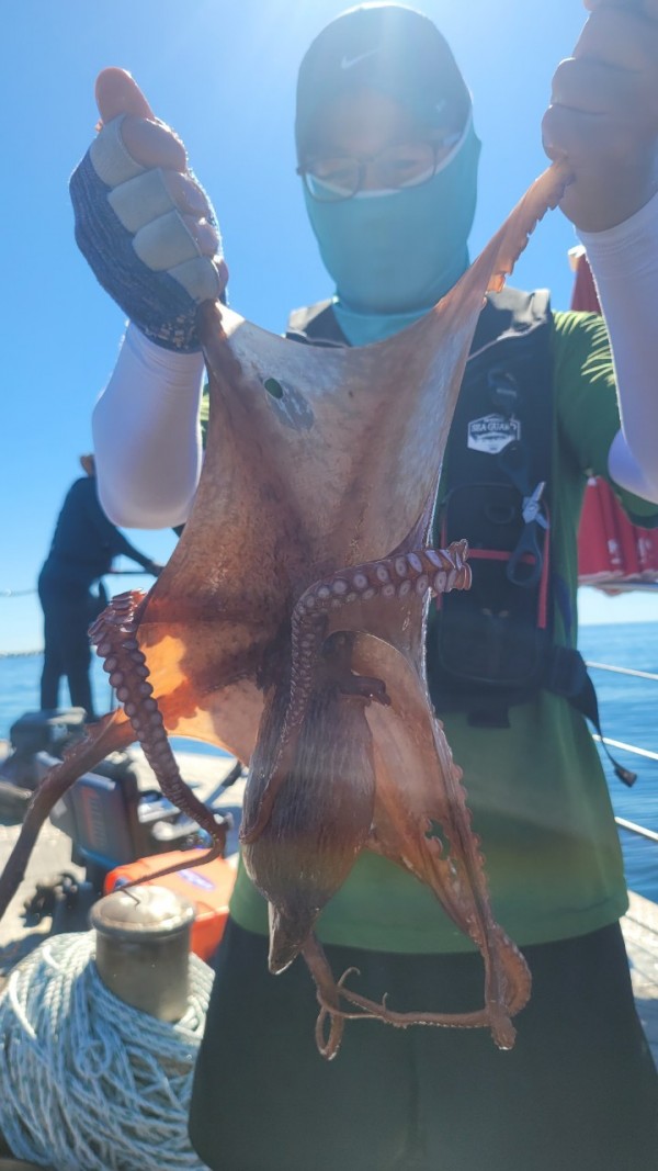 f82603d4bdc5c06674c6d23b536af3f3_1767513