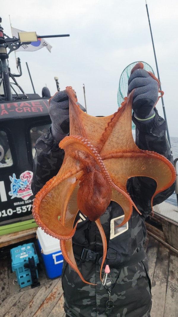 446dcbb15ef0361f89b5ad1d2b52d80d_1773560