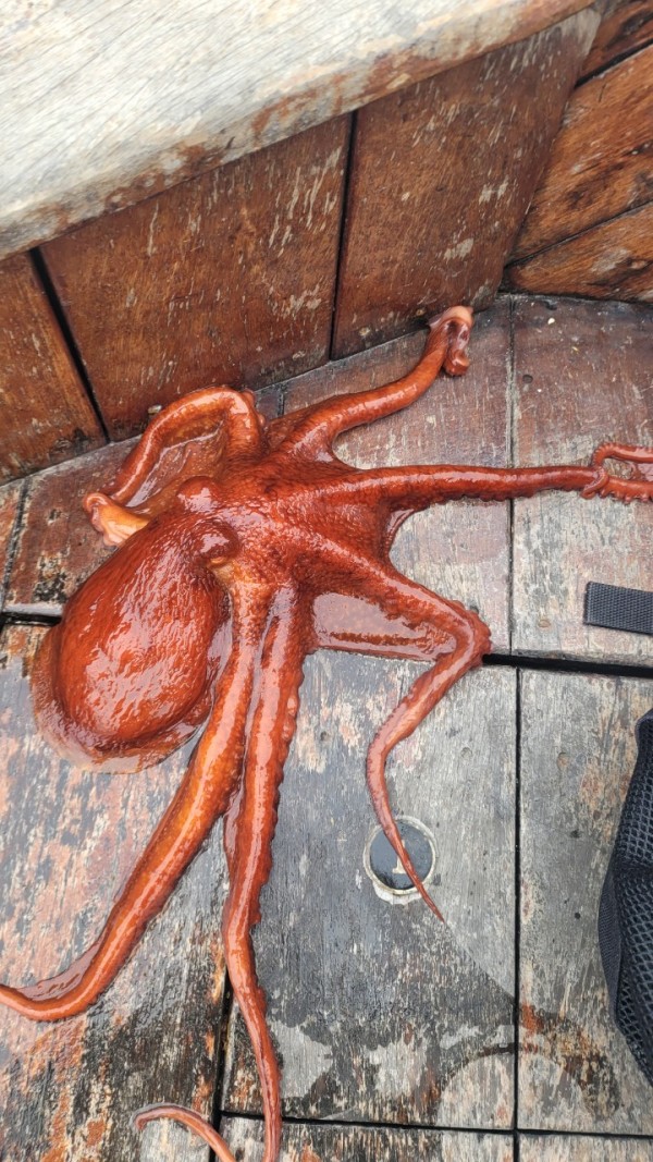 446dcbb15ef0361f89b5ad1d2b52d80d_1773560