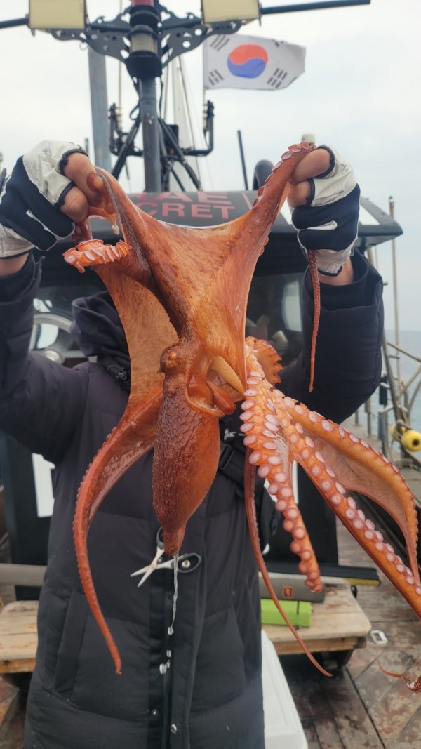 446dcbb15ef0361f89b5ad1d2b52d80d_1773560