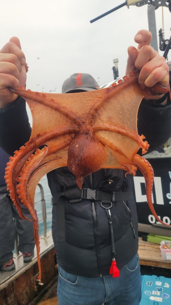 446dcbb15ef0361f89b5ad1d2b52d80d_1773560