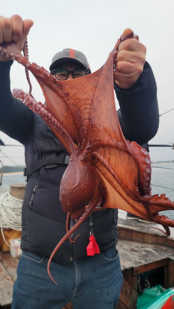 446dcbb15ef0361f89b5ad1d2b52d80d_1773560