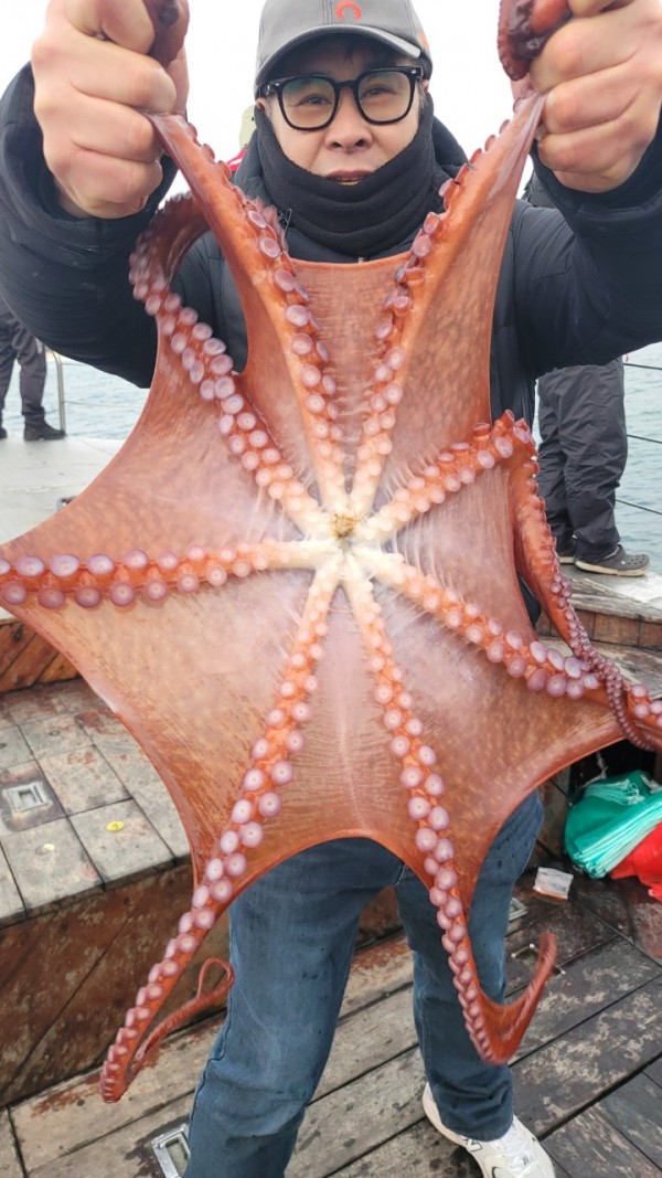 446dcbb15ef0361f89b5ad1d2b52d80d_1773560