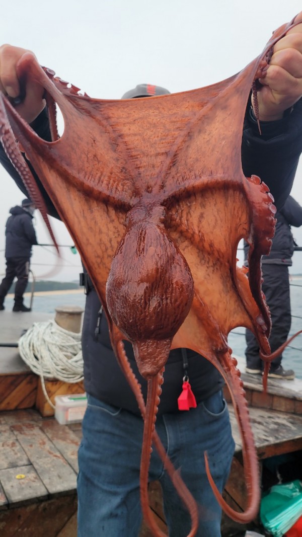 446dcbb15ef0361f89b5ad1d2b52d80d_1773560