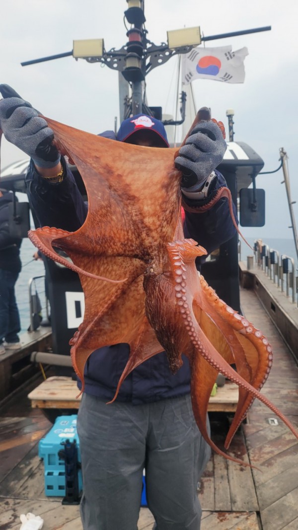 446dcbb15ef0361f89b5ad1d2b52d80d_1773560