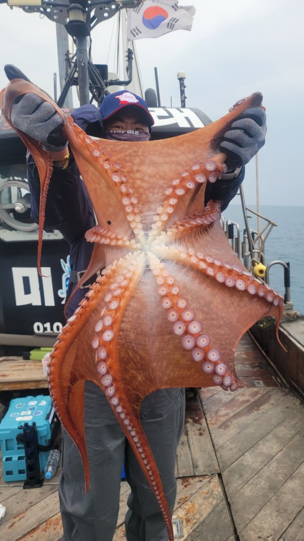 446dcbb15ef0361f89b5ad1d2b52d80d_1773560