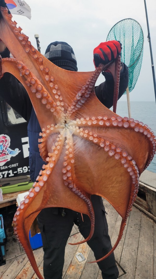 446dcbb15ef0361f89b5ad1d2b52d80d_1773560