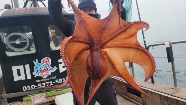 446dcbb15ef0361f89b5ad1d2b52d80d_1773560