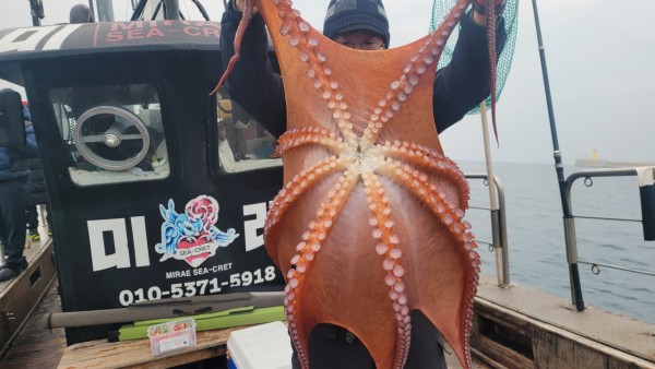 446dcbb15ef0361f89b5ad1d2b52d80d_1773560