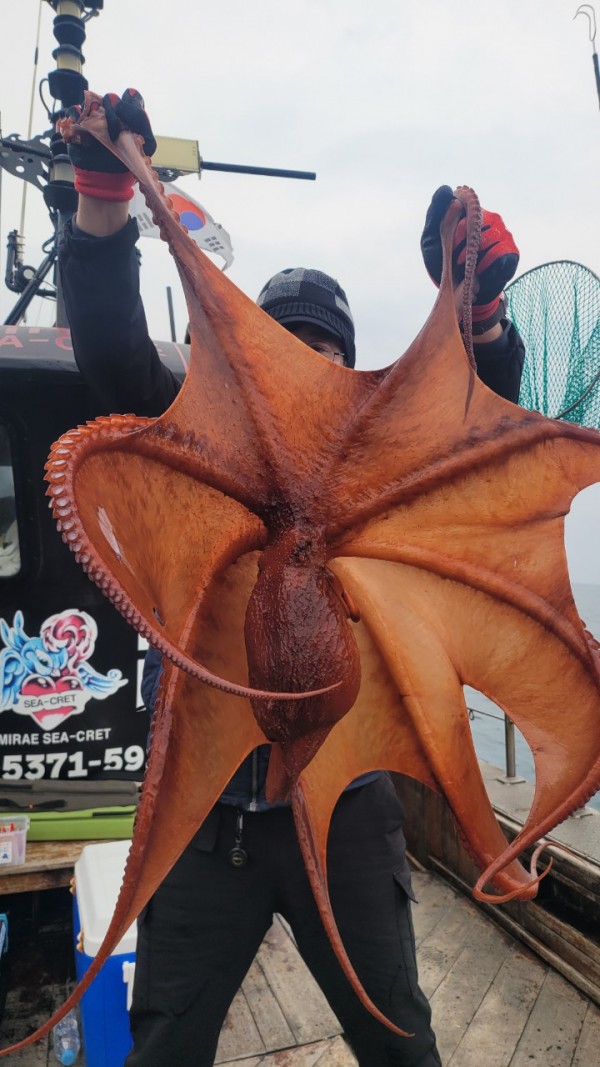 446dcbb15ef0361f89b5ad1d2b52d80d_1773560