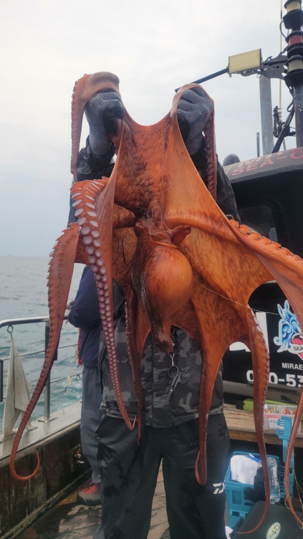 446dcbb15ef0361f89b5ad1d2b52d80d_1773560