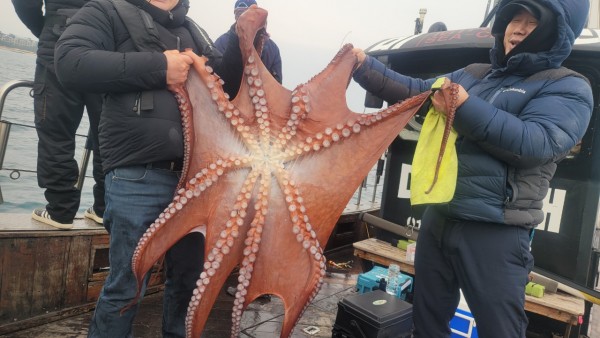 446dcbb15ef0361f89b5ad1d2b52d80d_1773560