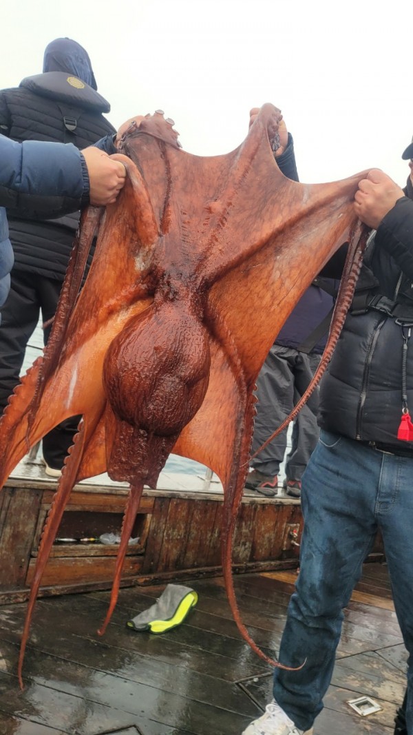 446dcbb15ef0361f89b5ad1d2b52d80d_1773560