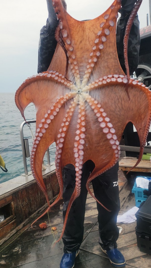 446dcbb15ef0361f89b5ad1d2b52d80d_1773560