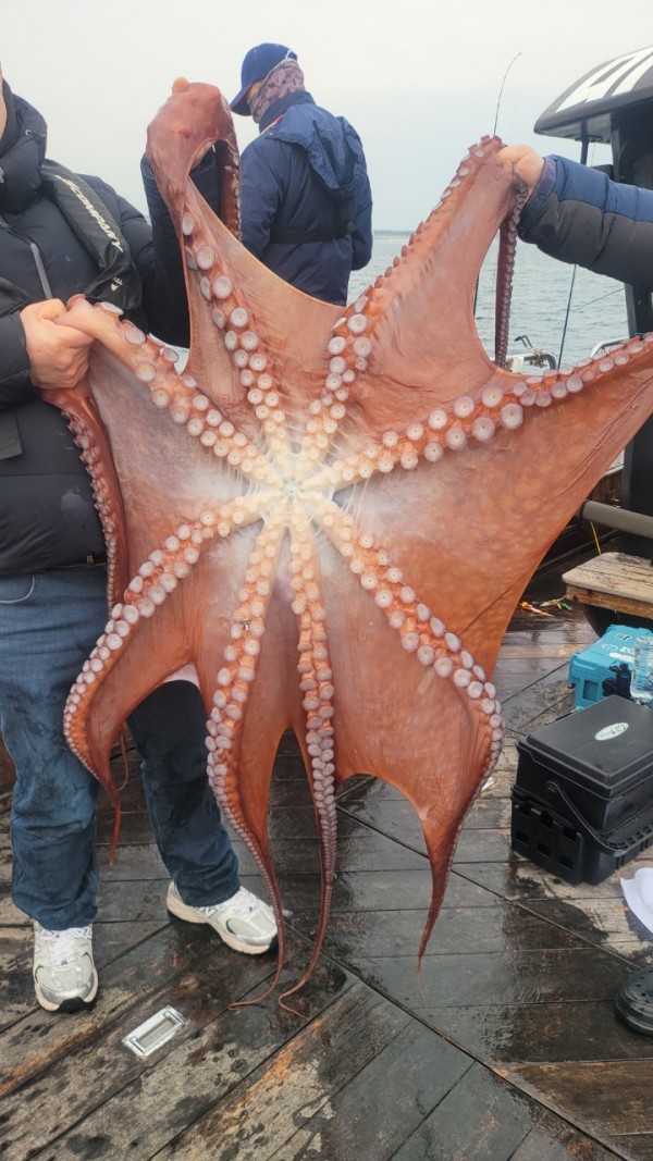 446dcbb15ef0361f89b5ad1d2b52d80d_1773560